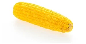 Кукуруза 1 шт